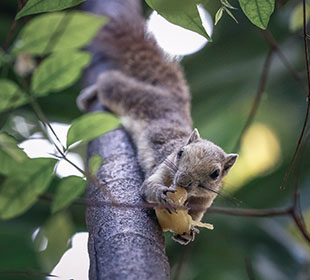 发卡网直销的ddos服务器攻击手段