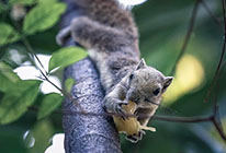 手机攻击器APP下载