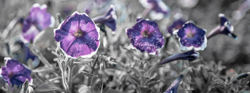 批发价卡密的DDOS攻击